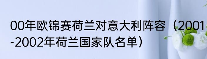 00年欧锦赛荷兰对意大利阵容（2001-2002年荷兰国家队名单）