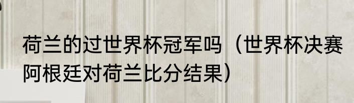 荷兰的过世界杯冠军吗（世界杯决赛阿根廷对荷兰比分结果）