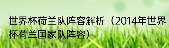 世界杯荷兰队阵容解析（2014年世界杯荷兰国家队阵容）