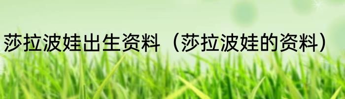 莎拉波娃出生资料（莎拉波娃的资料）