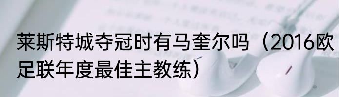 莱斯特城夺冠时有马奎尔吗（2016欧足联年度最佳主教练）
