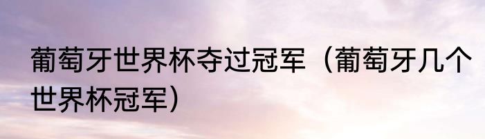 葡萄牙世界杯夺过冠军（葡萄牙几个世界杯冠军）