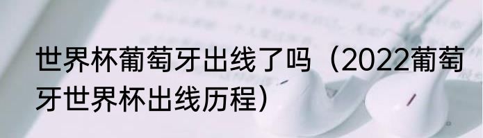 世界杯葡萄牙出线了吗（2022葡萄牙世界杯出线历程）