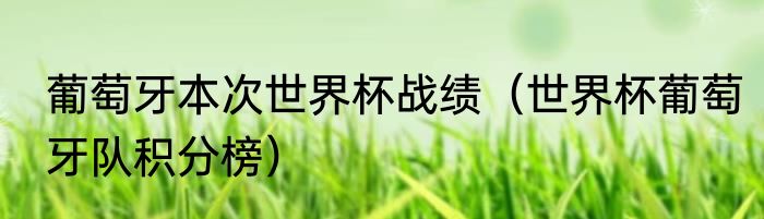 葡萄牙本次世界杯战绩（世界杯葡萄牙队积分榜）