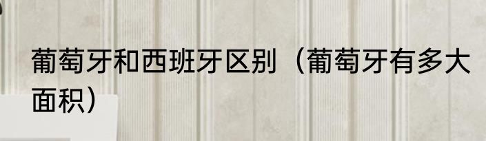 葡萄牙和西班牙区别（葡萄牙有多大面积）