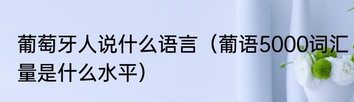葡萄牙人说什么语言（葡语5000词汇量是什么水平）