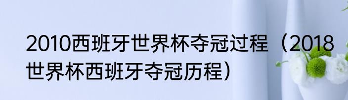 2010西班牙世界杯夺冠过程（2018世界杯西班牙夺冠历程）