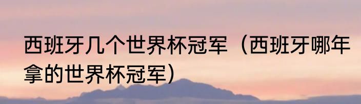 西班牙几个世界杯冠军（西班牙哪年拿的世界杯冠军）