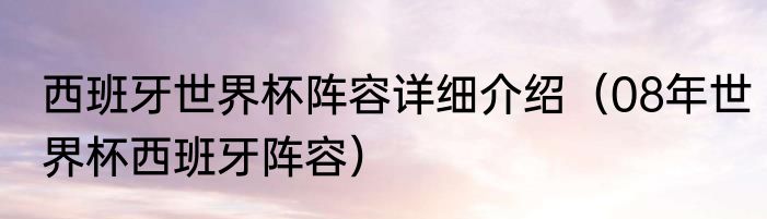 西班牙世界杯阵容详细介绍（08年世界杯西班牙阵容）