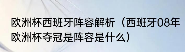 欧洲杯西班牙阵容解析（西班牙08年欧洲杯夺冠是阵容是什么）