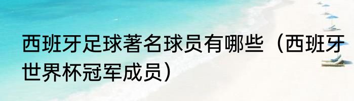 西班牙足球著名球员有哪些（西班牙世界杯冠军成员）