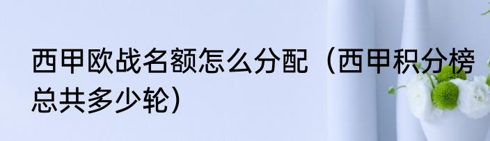 西甲欧战名额怎么分配（西甲积分榜总共多少轮）