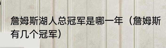 詹姆斯湖人总冠军是哪一年（詹姆斯有几个冠军）