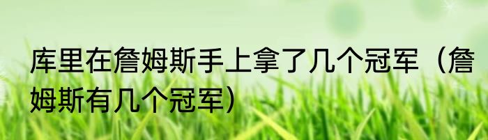 库里在詹姆斯手上拿了几个冠军（詹姆斯有几个冠军）