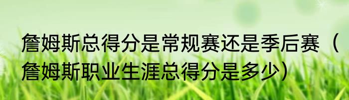 詹姆斯总得分是常规赛还是季后赛（詹姆斯职业生涯总得分是多少）