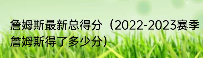 詹姆斯最新总得分（2022-2023赛季詹姆斯得了多少分）