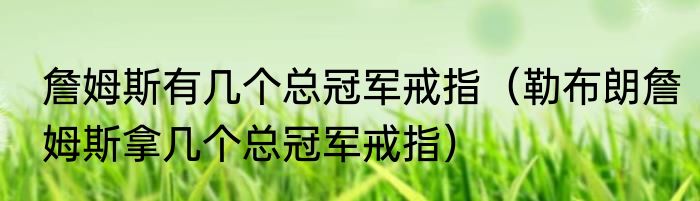 詹姆斯有几个总冠军戒指（勒布朗詹姆斯拿几个总冠军戒指）