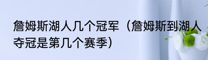 詹姆斯湖人几个冠军（詹姆斯到湖人夺冠是第几个赛季）
