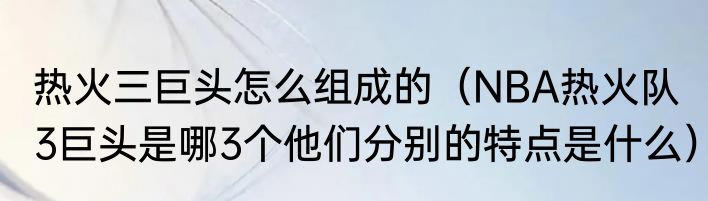 热火三巨头怎么组成的（NBA热火队3巨头是哪3个他们分别的特点是什么）