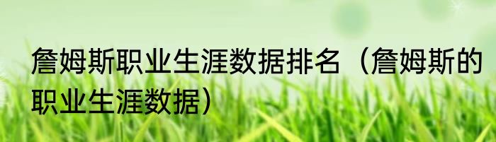 詹姆斯职业生涯数据排名（詹姆斯的职业生涯数据）