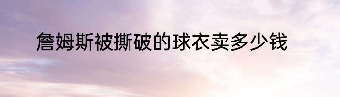 詹姆斯被撕破的球衣卖多少钱