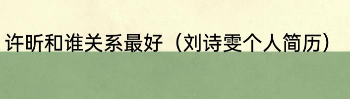 许昕和谁关系最好（刘诗雯个人简历）