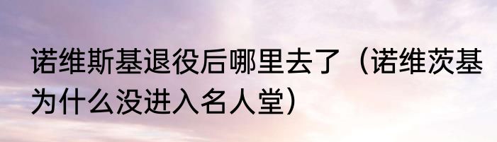 诺维斯基退役后哪里去了（诺维茨基为什么没进入名人堂）
