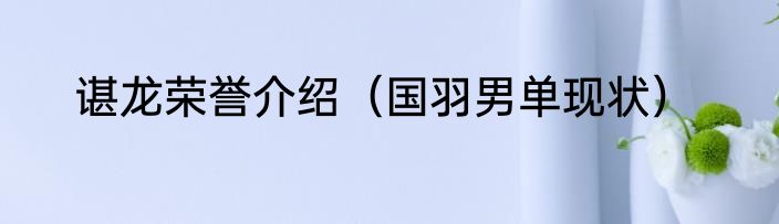 谌龙荣誉介绍（国羽男单现状）