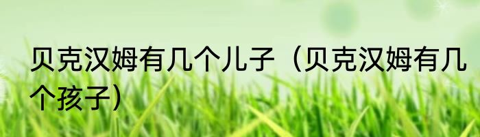 贝克汉姆有几个儿子（贝克汉姆有几个孩子）