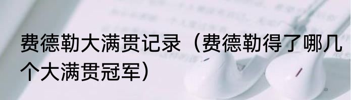 费德勒大满贯记录（费德勒得了哪几个大满贯冠军）