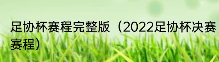 足协杯赛程完整版（2022足协杯决赛赛程）
