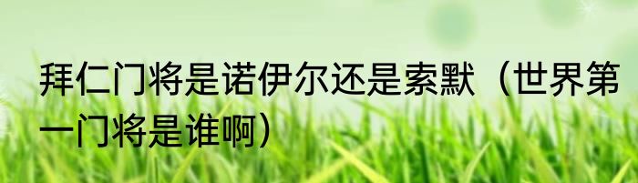 拜仁门将是诺伊尔还是索默（世界第一门将是谁啊）