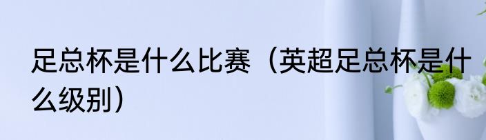 足总杯是什么比赛（英超足总杯是什么级别）