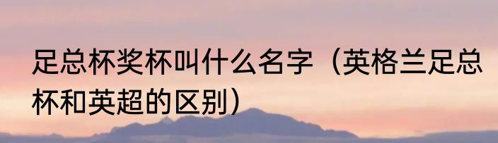 足总杯奖杯叫什么名字（英格兰足总杯和英超的区别）