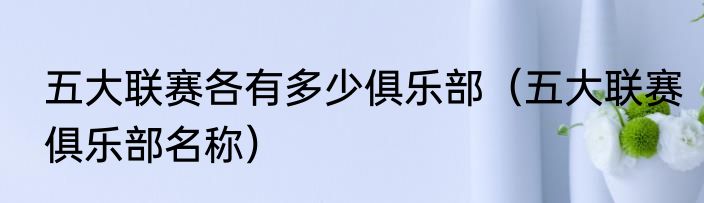五大联赛各有多少俱乐部（五大联赛俱乐部名称）