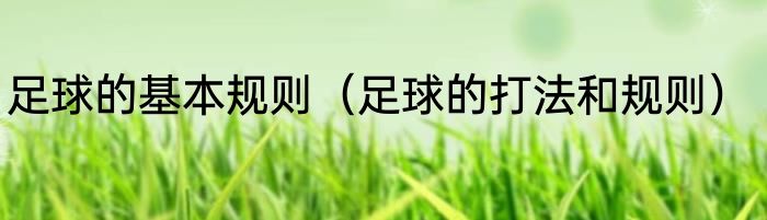 足球的基本规则（足球的打法和规则）