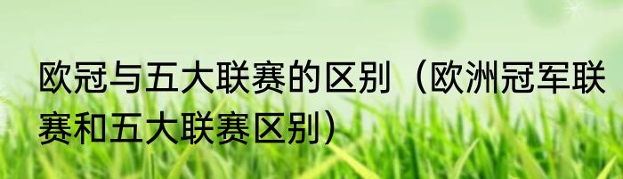 欧冠与五大联赛的区别（欧洲冠军联赛和五大联赛区别）