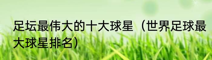 足坛最伟大的十大球星（世界足球最大球星排名）