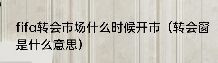 fifa转会市场什么时候开市（转会窗是什么意思）