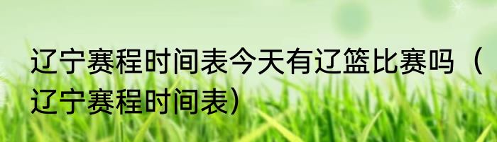 辽宁赛程时间表今天有辽篮比赛吗（辽宁赛程时间表）