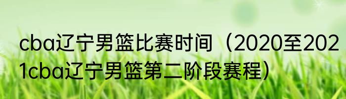 cba辽宁男篮比赛时间（2020至2021cba辽宁男篮第二阶段赛程）