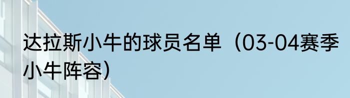 达拉斯小牛的球员名单（03-04赛季小牛阵容）