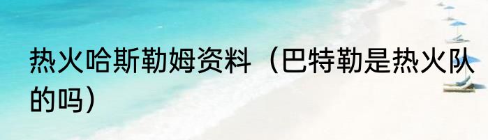 热火哈斯勒姆资料（巴特勒是热火队的吗）