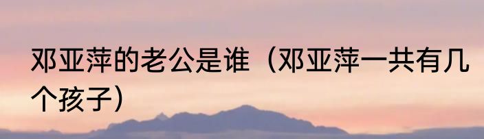 邓亚萍的老公是谁（邓亚萍一共有几个孩子）