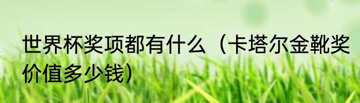 世界杯奖项都有什么（卡塔尔金靴奖价值多少钱）