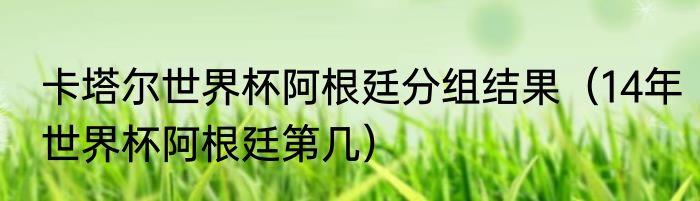 卡塔尔世界杯阿根廷分组结果（14年世界杯阿根廷第几）