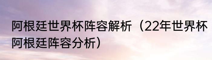 阿根廷世界杯阵容解析（22年世界杯阿根廷阵容分析）