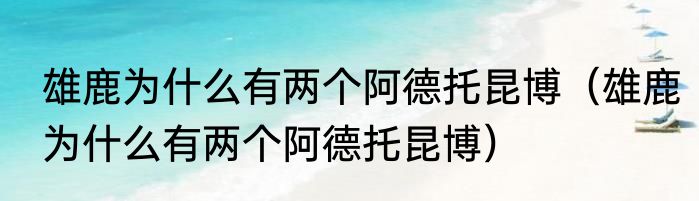 雄鹿为什么有两个阿德托昆博（雄鹿为什么有两个阿德托昆博）
