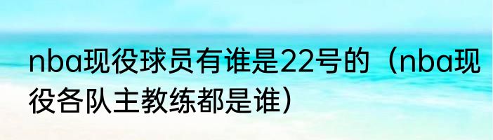 nba现役球员有谁是22号的（nba现役各队主教练都是谁）
