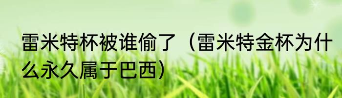 雷米特杯被谁偷了（雷米特金杯为什么永久属于巴西）